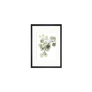 Obraz Tablo Center Leafy, 24 × 29 cm