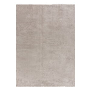Svetlo šedý koberec 80x150 cm Loft - Universal