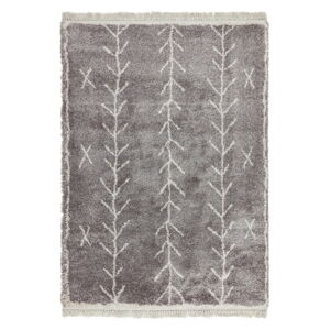 Sivý koberec 160x230 cm Rocco – Asiatic Carpets