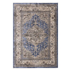 Modrý koberec 240x330 cm Sovereign – Asiatic Carpets