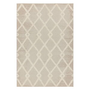 Krémovobiely vonkajší koberec 160x230 cm Monty – Asiatic Carpets