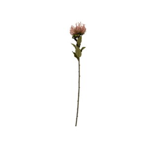Umelý kvet (výška  73 cm) Protea – PT LIVING