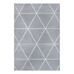 Svetlosivý koberec Ragami Douce, 200 x 280 cm