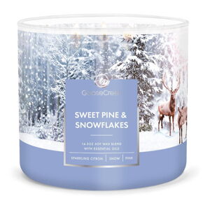 Vonná sviečka Goose Creek Sweet Pine & Snowflakes, doba horenia 35 h