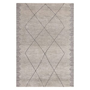 Svetlosivý koberec 120x170 cm Mason – Asiatic Carpets