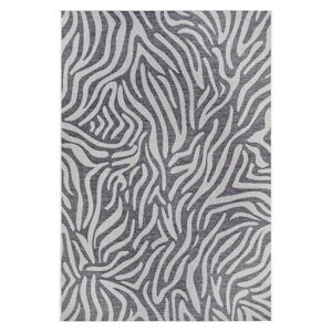 Sivo-béžový vonkajší koberec NORTHRUGS Cebra, 200 x 290 cm
