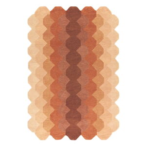 V tehlovej farbe vlnený koberec 120x170 cm Hive – Asiatic Carpets