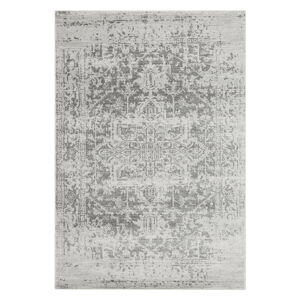 Sivý koberec 120x170 cm Nova – Asiatic Carpets