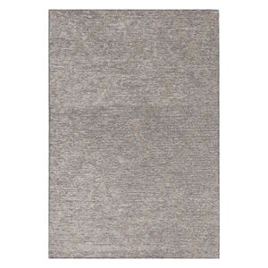 Sivý koberec s prímesou juty 120x170 cm Mulberrry – Asiatic Carpets