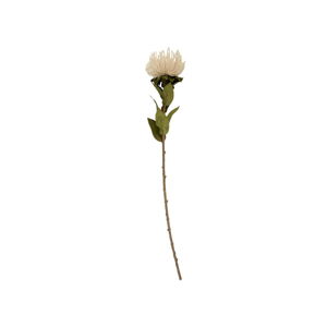 Umelý kvet (výška  60 cm) Protea – PT LIVING