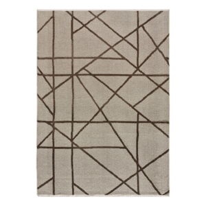Svetlohnedý koberec 160x230 cm Lux – Universal