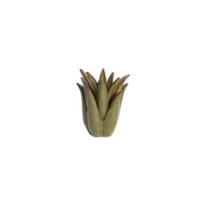 Keramický svietnik Cactus – Light & Living