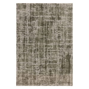 Khaki koberec 240x340 cm Kuza – Asiatic Carpets