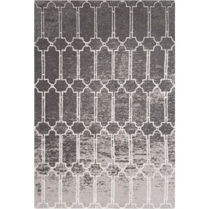 Sivý vlnený koberec 160x240 cm Ewar – Agnella