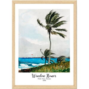 Plagát v ráme 55x75 cm Winslow Homer – Wallity