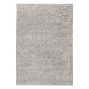 Svetlosivý koberec 80x150 cm – Flair Rugs