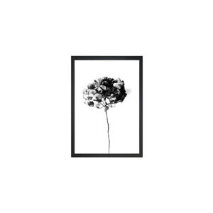 Obraz Tablo Center Velvet Flower, 24 × 29 cm