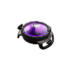 LED svetlo na obojok Purple - Orbiloc