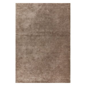 Hnedý koberec 200x290 cm Milo – Asiatic Carpets