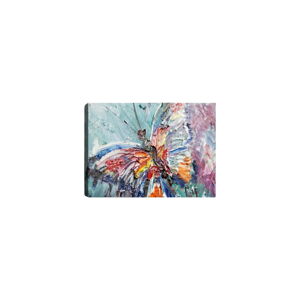 Obraz Tablo Center One Butterfly, 70 × 50 cm