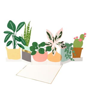 Prianie Potted Plant – Meri Meri