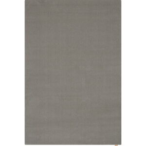 Sivý vlnený koberec 133x190 cm Calisia M Smooth – Agnella
