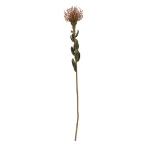 Umelý kvet (výška  60 cm) Protea – PT LIVING