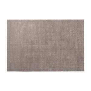 Hnedý koberec z viskózy 160x240 cm Visca – Blomus