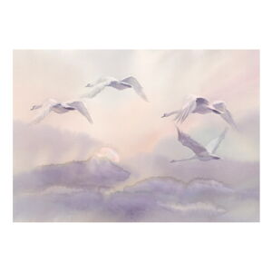 Veľkoformátová tapeta Artgeist Flying Swans, 400 x 280 cm