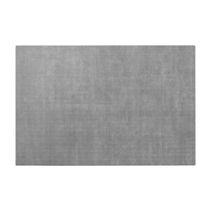 Sivý koberec z viskózy 160x240 cm Visca – Blomus