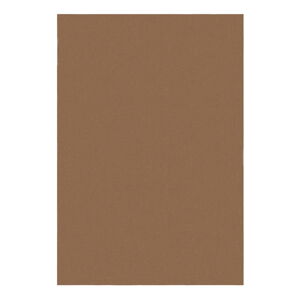 Koňakovohnedý koberec 160x230 cm – Flair Rugs