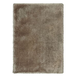 Hnedý koberec 160x230 cm – Flair Rugs