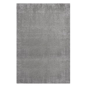 Sivý koberec z recyklovaných vlákien 160x230 cm Velvet – Flair Rugs
